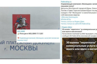 IV. Порядок определения размера субсидии