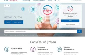 Контрактные Отношения в Новороссийске