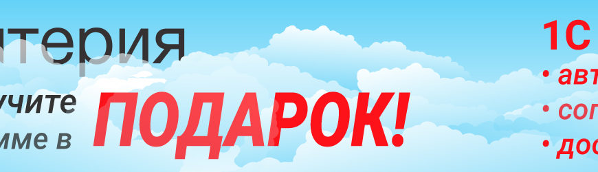 Связь с государственными органами посредством электронных звонков