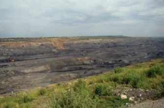 Проверить наличие лицензии у организации по инн