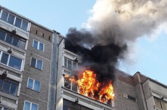 Кем выдается свидетельство о государственной регистрации права