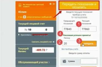 Будьте впереди игры с SNP в бухгалтерском учете: объяснение
