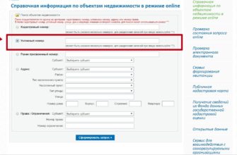 Иас мжф