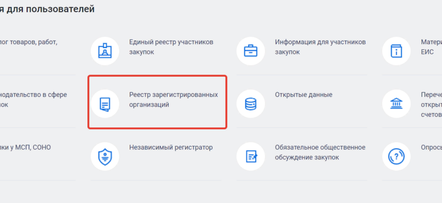 КАК ПОСМОТРЕТЬ СВЕДЕНИЯ ОБ ОРГАНИЗАЦИИ В СВОДНОМ РЕЕСТРЕ
