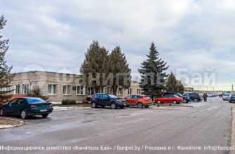 Оживите свое открытое пространство: доступны профессиональные услуги по уходу за двором